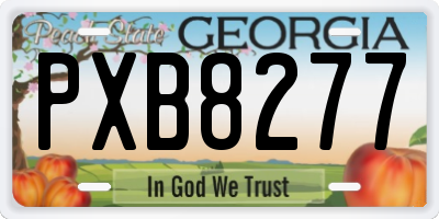 GA license plate PXB8277