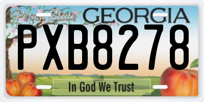 GA license plate PXB8278