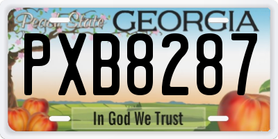 GA license plate PXB8287