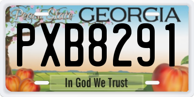 GA license plate PXB8291