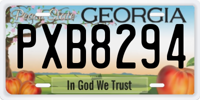 GA license plate PXB8294
