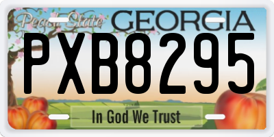 GA license plate PXB8295