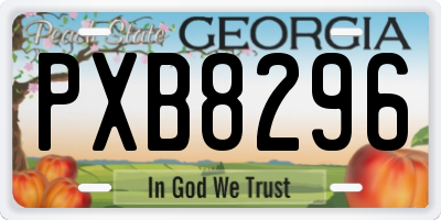 GA license plate PXB8296