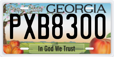 GA license plate PXB8300