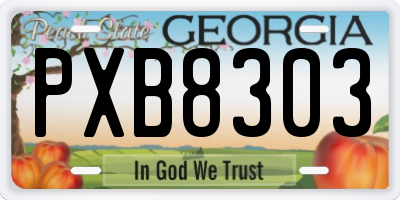 GA license plate PXB8303