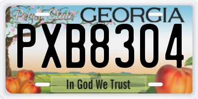 GA license plate PXB8304