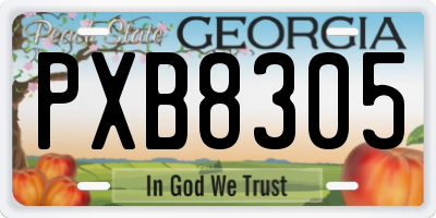 GA license plate PXB8305