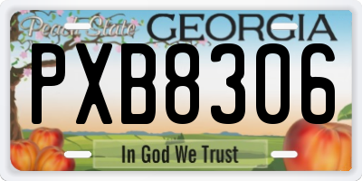 GA license plate PXB8306