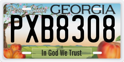 GA license plate PXB8308