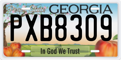 GA license plate PXB8309