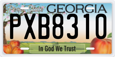 GA license plate PXB8310