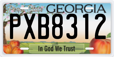 GA license plate PXB8312