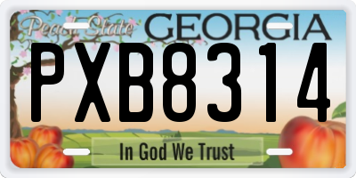 GA license plate PXB8314