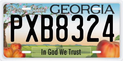 GA license plate PXB8324