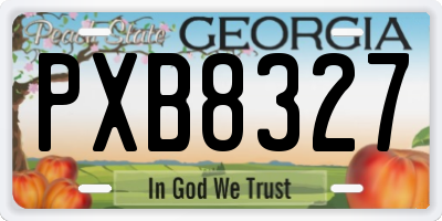 GA license plate PXB8327