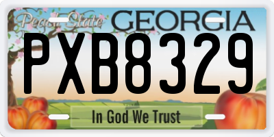 GA license plate PXB8329