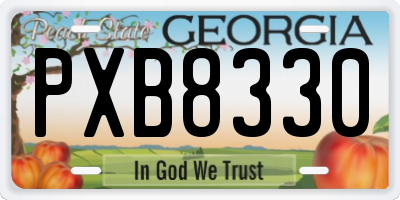 GA license plate PXB8330