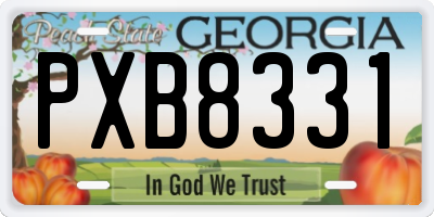 GA license plate PXB8331