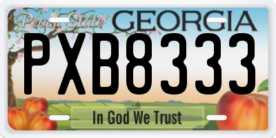 GA license plate PXB8333