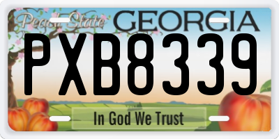 GA license plate PXB8339