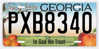 GA license plate PXB8340