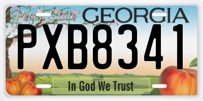 GA license plate PXB8341