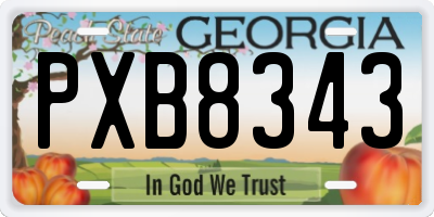 GA license plate PXB8343