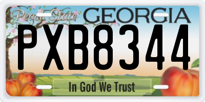 GA license plate PXB8344
