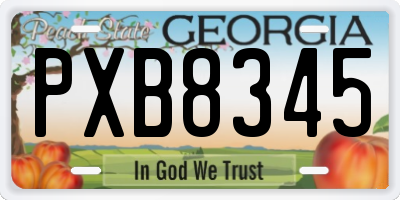 GA license plate PXB8345