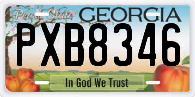 GA license plate PXB8346
