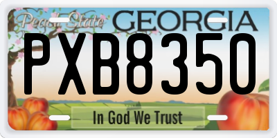 GA license plate PXB8350