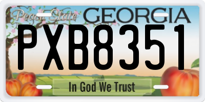 GA license plate PXB8351