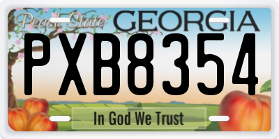 GA license plate PXB8354