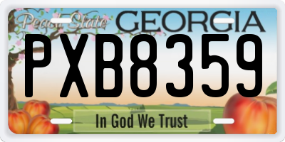 GA license plate PXB8359