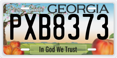 GA license plate PXB8373