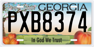GA license plate PXB8374