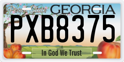 GA license plate PXB8375