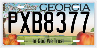 GA license plate PXB8377