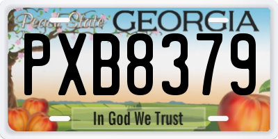 GA license plate PXB8379