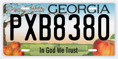 GA license plate PXB8380