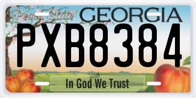 GA license plate PXB8384