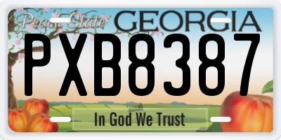 GA license plate PXB8387