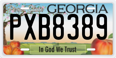 GA license plate PXB8389