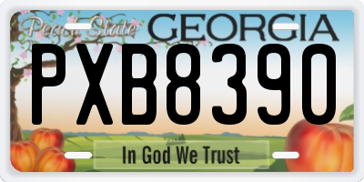 GA license plate PXB8390