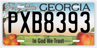 GA license plate PXB8393