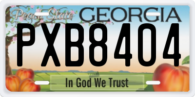 GA license plate PXB8404