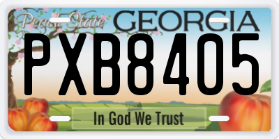 GA license plate PXB8405