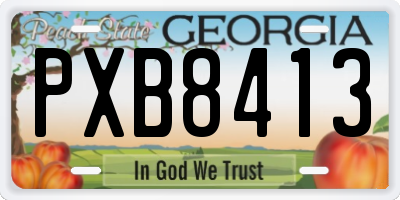 GA license plate PXB8413