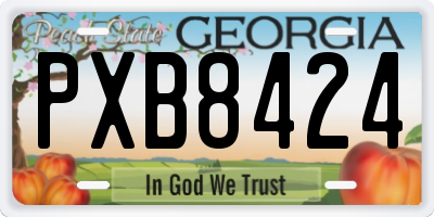 GA license plate PXB8424