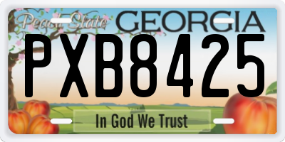 GA license plate PXB8425